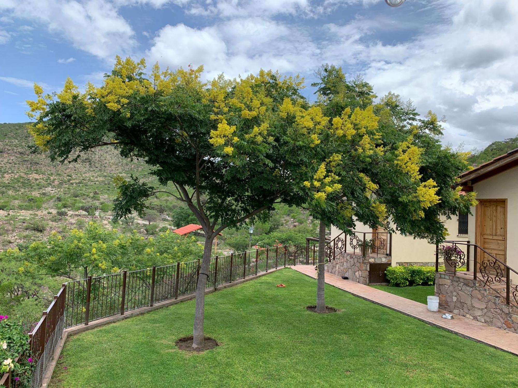 Villa Campestre La Soledad Колон Экстерьер фото