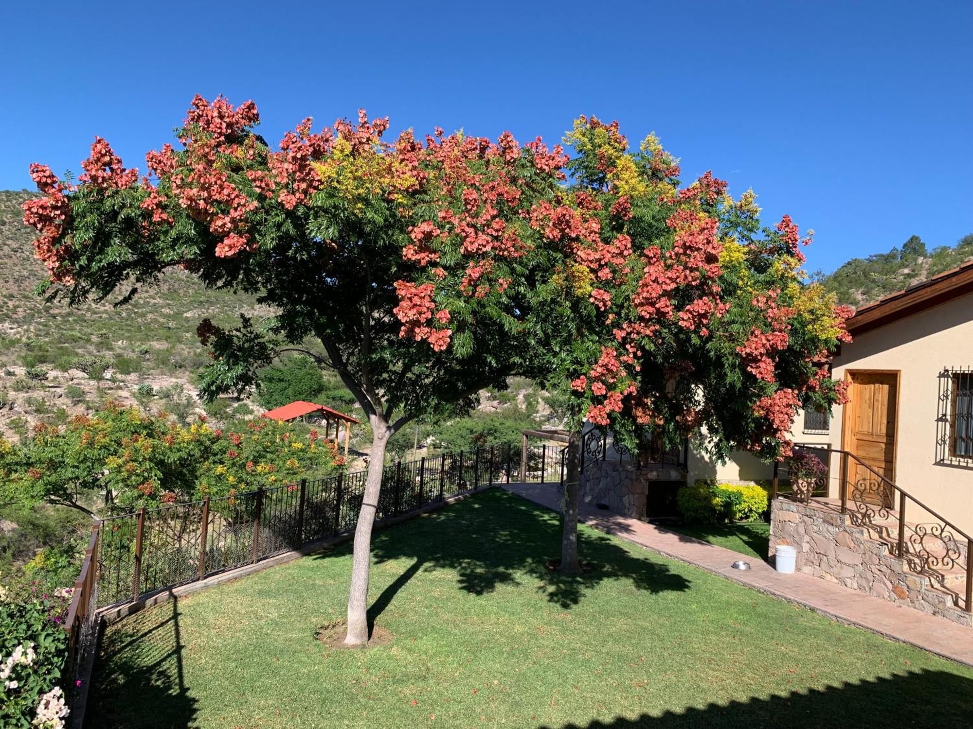 Villa Campestre La Soledad Колон Экстерьер фото