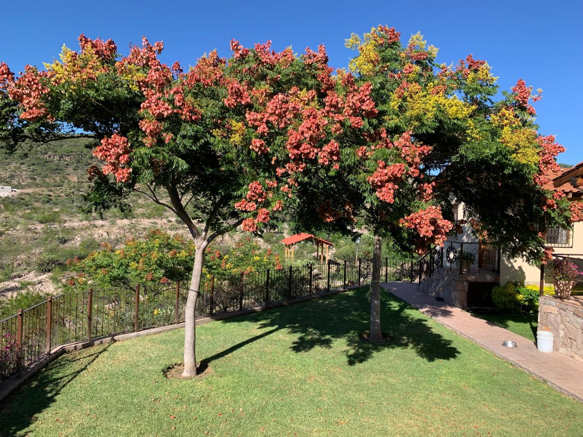 Villa Campestre La Soledad Колон Экстерьер фото